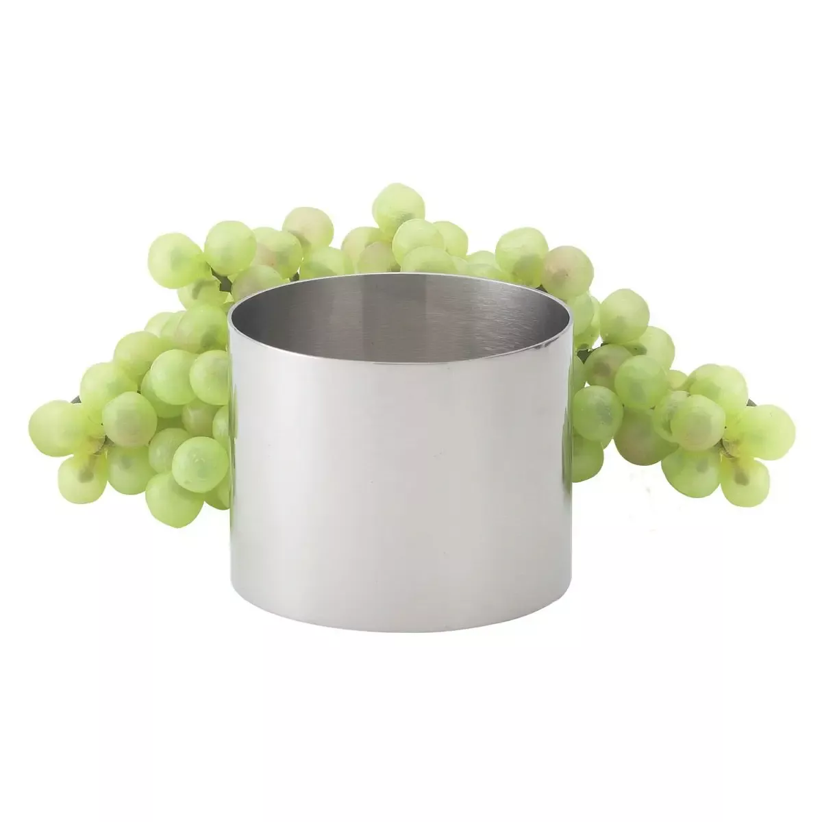 hic-food-ring-2 HIC Food Ring: 2"