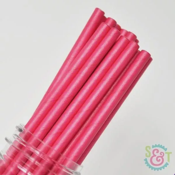 hot-pink-cake-pop-straws-25-straws Hot Pink Cake Pop Straws - 25 Straws