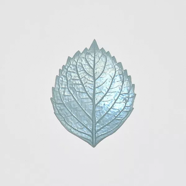hydrangea-leaf-f-023-by-sunflower-sugar-art Hydrangea Leaf (F-023) by Sunflower Sugar Art