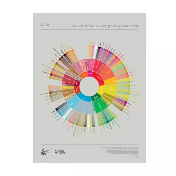 Italian - Coffee Taster's Flavor Wheel Poster - SCA