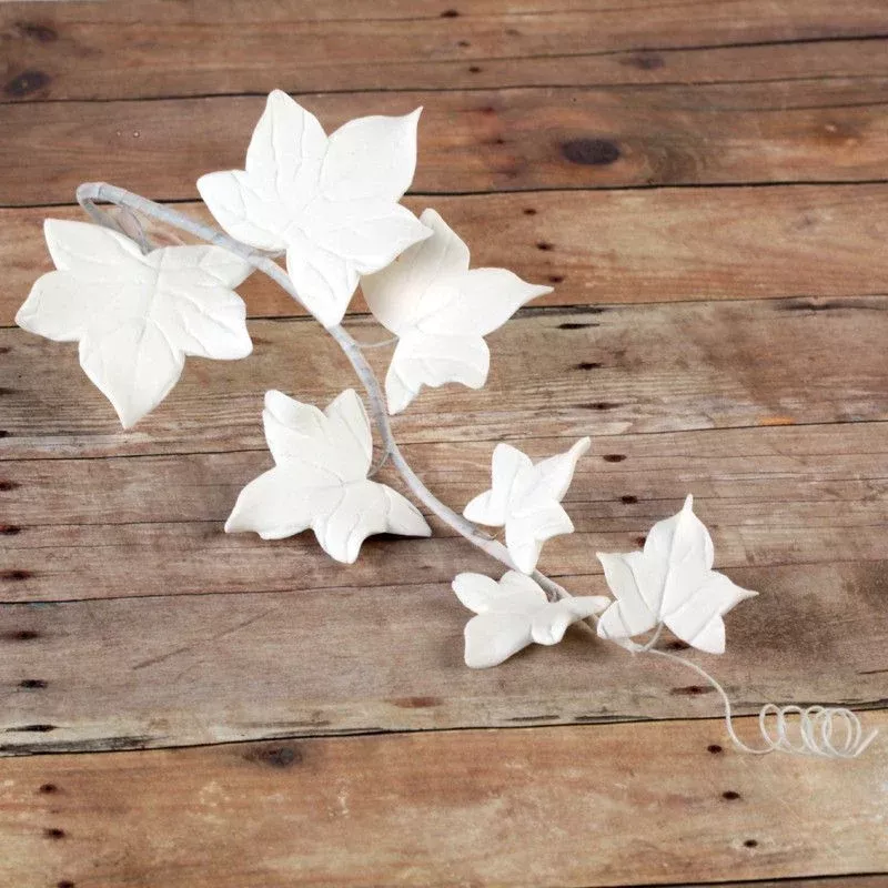 ivy-leaf-filler-white Ivy Leaf Filler - White