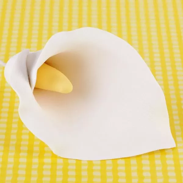 Jumbo Calla Lilies - White