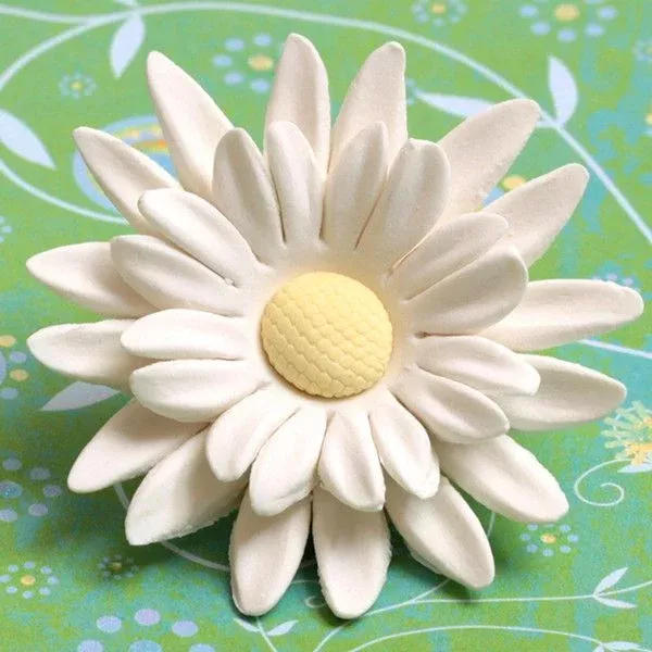 large-double-petal-daisies Large Double Petal Daisies