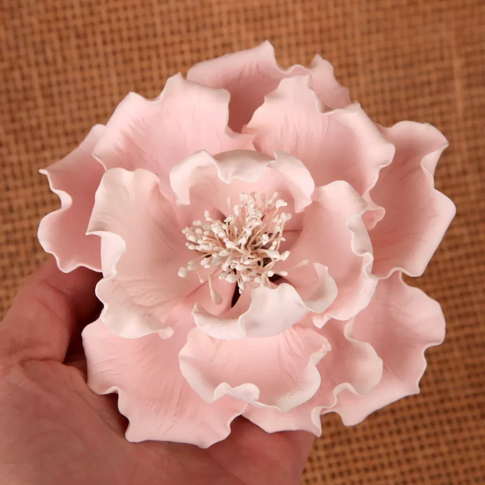 large-peonies-pink Large Peonies - Pink