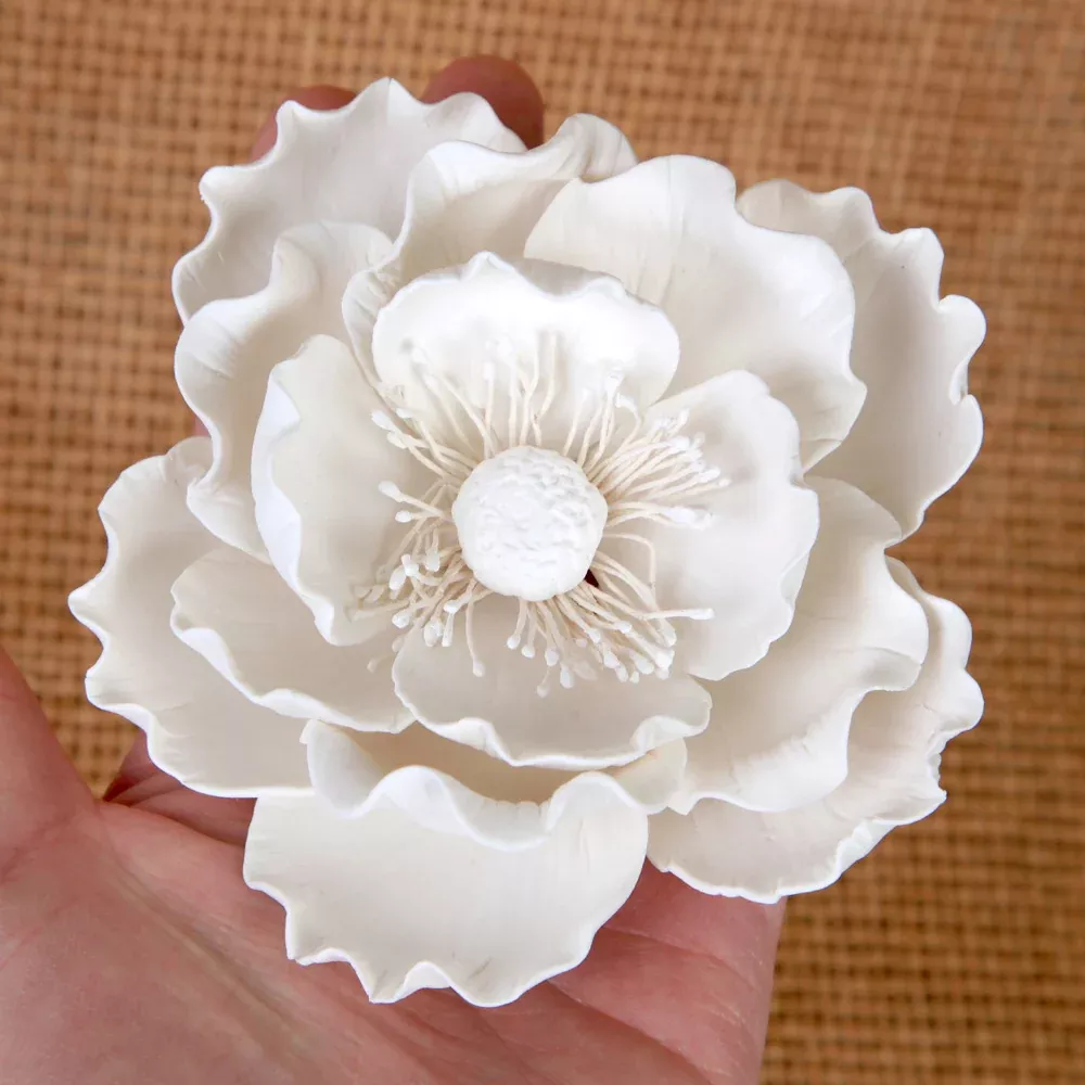 Large Poppy - White
