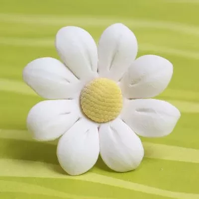 large-single-petal-daisy Large Single Petal Daisy
