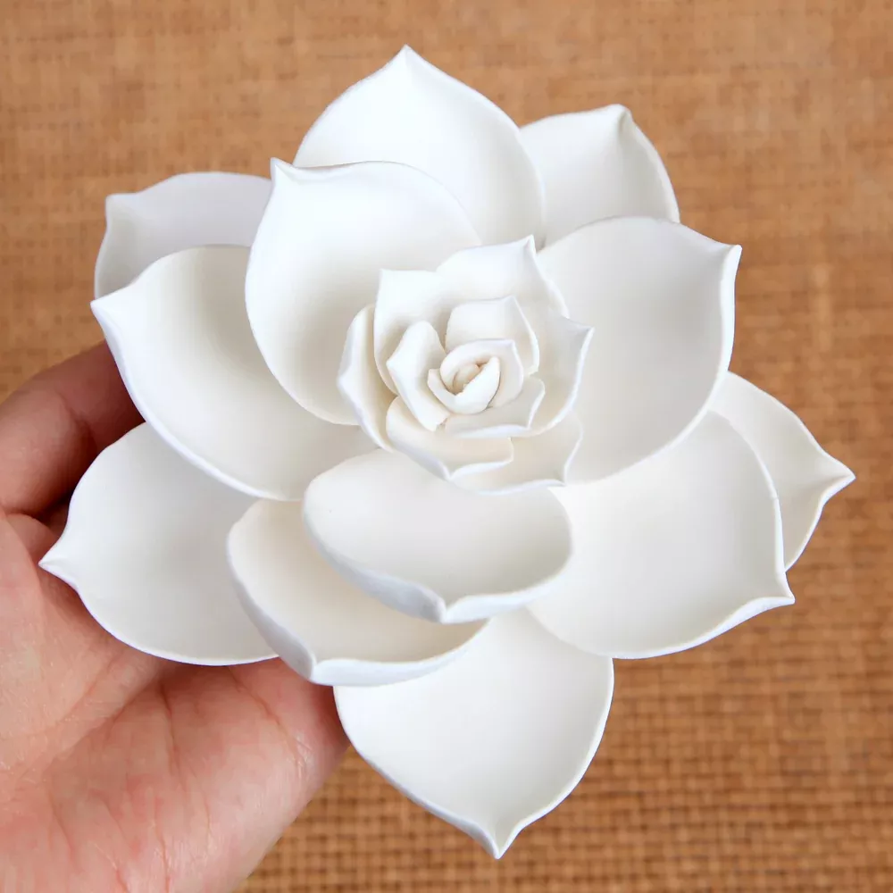Large Succulent - White