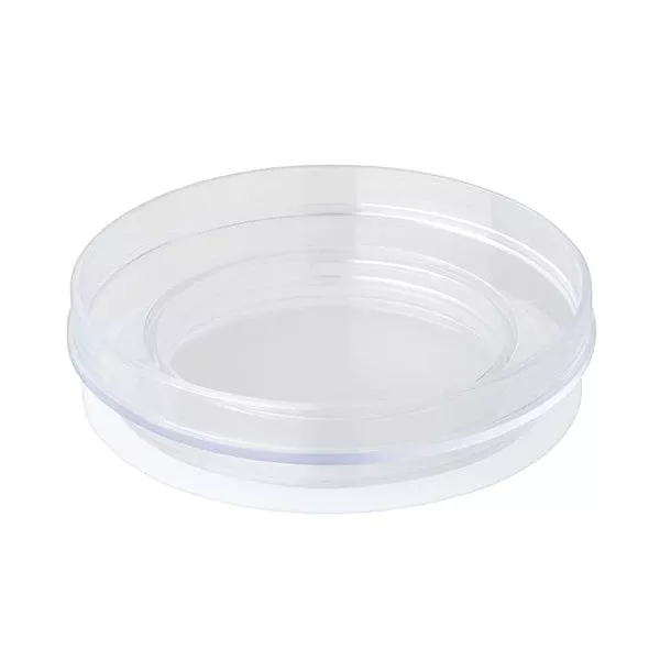 manual-brewing-dripster-carafe-lid Manual Brewing Dripster Carafe Lid