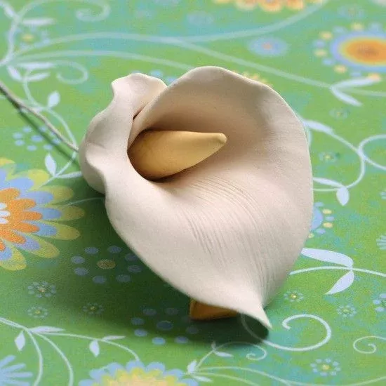 medium-calla-lilies-white Medium Calla Lilies - White