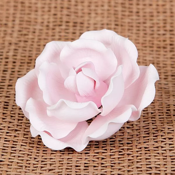 medium-full-bloom-roses-pink Medium Full Bloom Roses - Pink