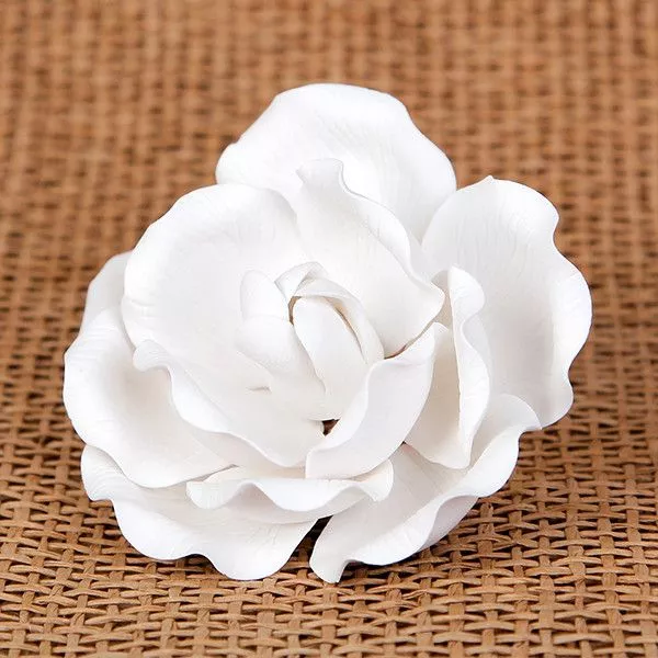medium-full-bloom-roses-white Medium Full Bloom Roses - White