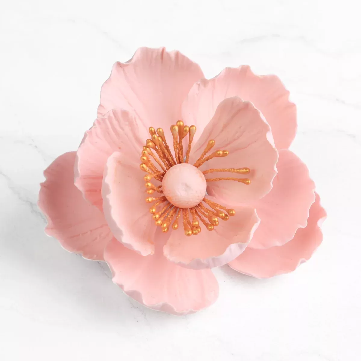 medium-poppy-pink Medium Poppy - Pink