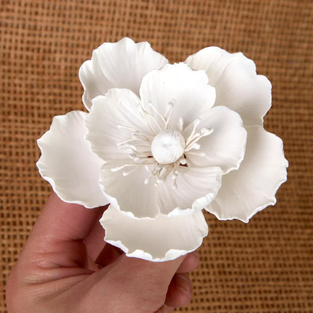 Medium Poppy - White