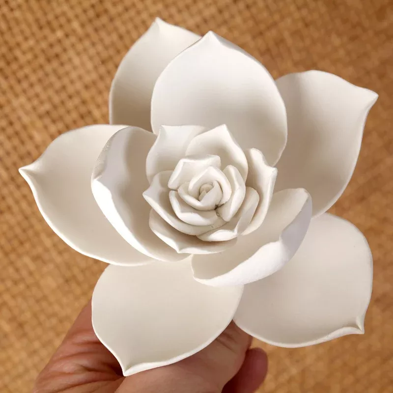 medium-succulent-pointy-white Medium Succulent (Pointy) - White