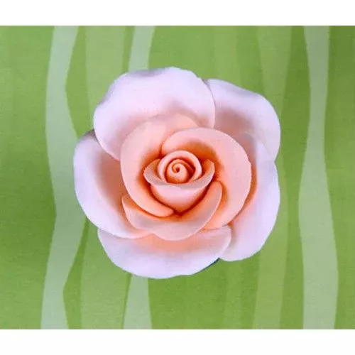 medium-tea-roses-peach Medium Tea Roses - Peach