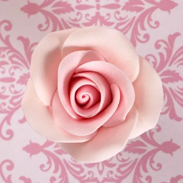 medium-tea-roses-pink Medium Tea Roses - Pink