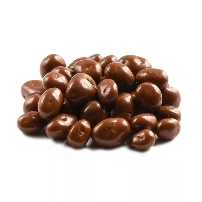 Milk Chocolate Raisins – 1 lb (16 oz)
