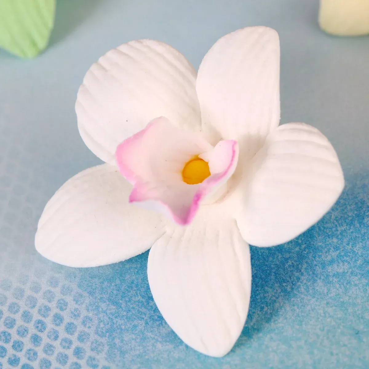 mini-cymbidium-orchids-white Mini Cymbidium Orchids - White