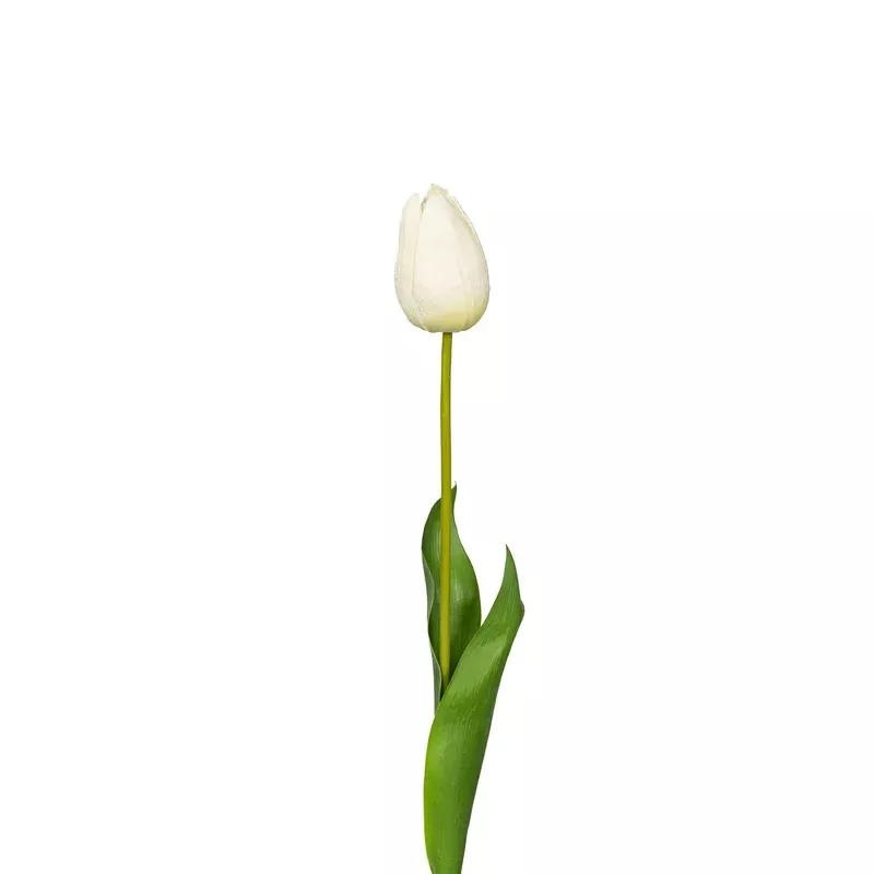 natural-touch-tulip-23-5-inch-white Natural Touch Tulip – 23.5 Inch – White