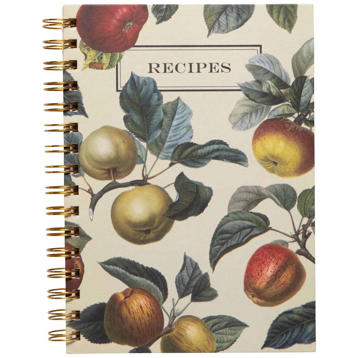 now-designs-recipe-book-apple-orchard Now Designs Recipe Book: Apple Orchard