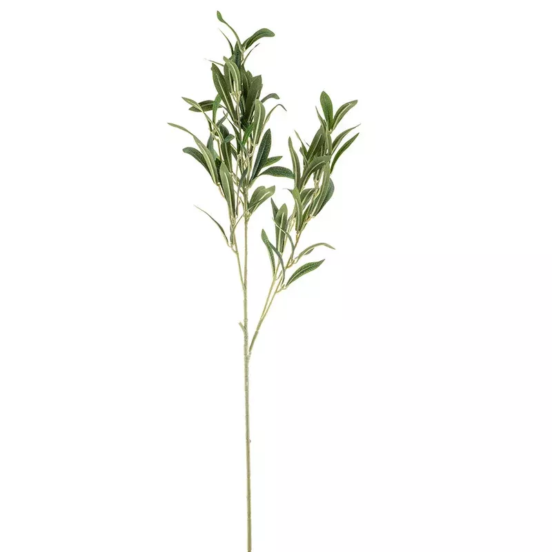 olive-leaves-spray Olive Leaves Spray
