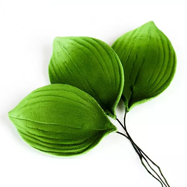 orchid-leaf-green Orchid Leaf - Green