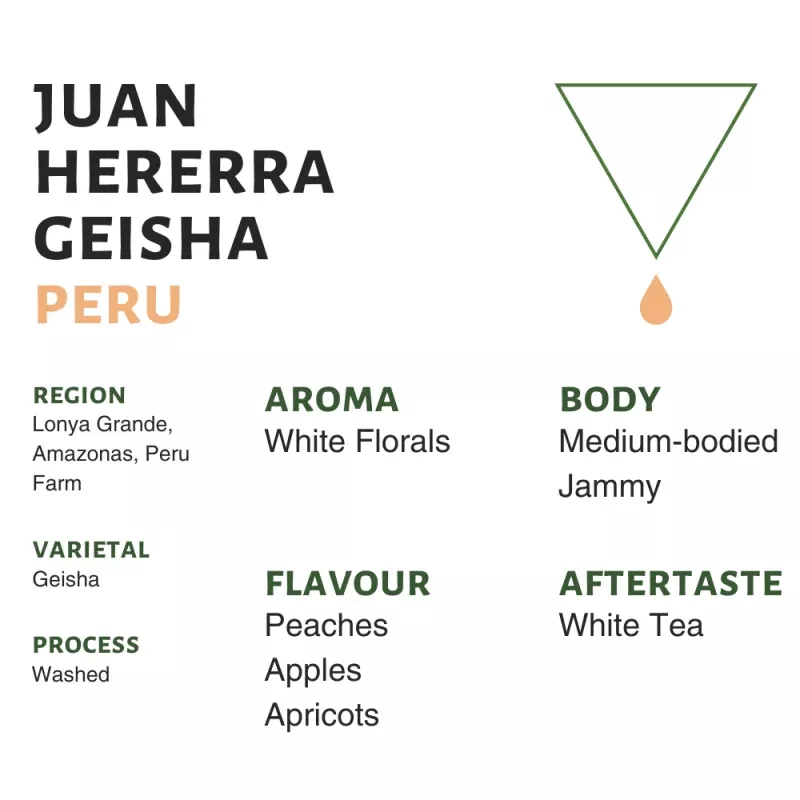Peru Juan Hererra Geisha