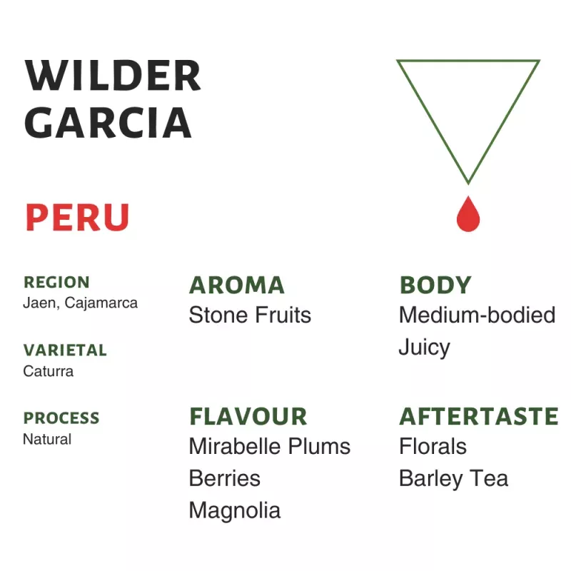 Peru Wilder Garcia