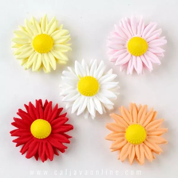 petite-daisies-mix Petite Daisies - Mix