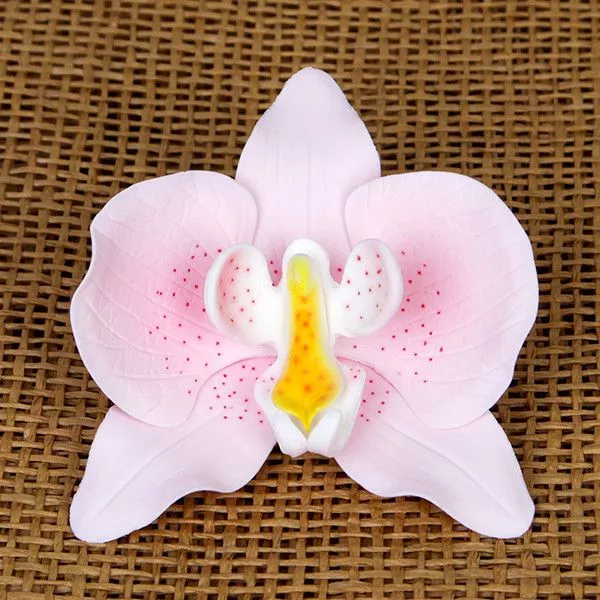 phalaenopsis-orchids-pink Phalaenopsis Orchids - Pink