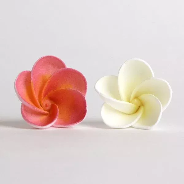 plumerias-mix Plumerias - Mix