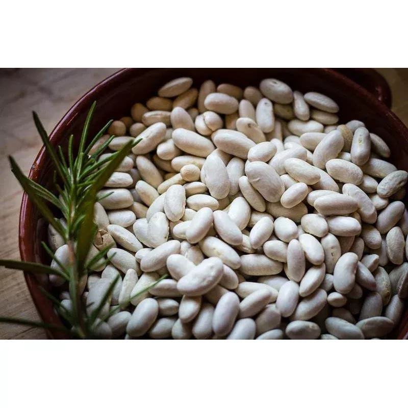 rancho-gordo-marcella-cannellini-bean Rancho Gordo "Marcella" Cannellini Bean