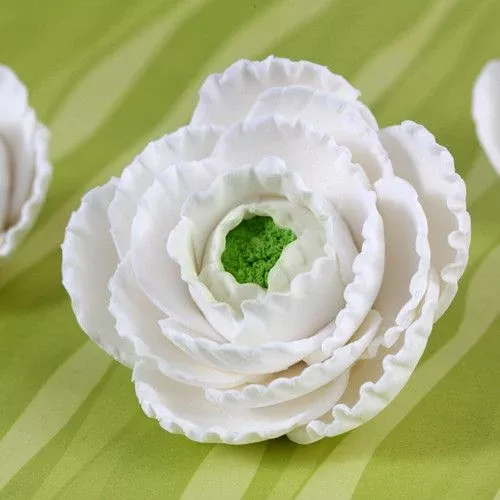 ranunculus-flowers-white Ranunculus Flowers - White
