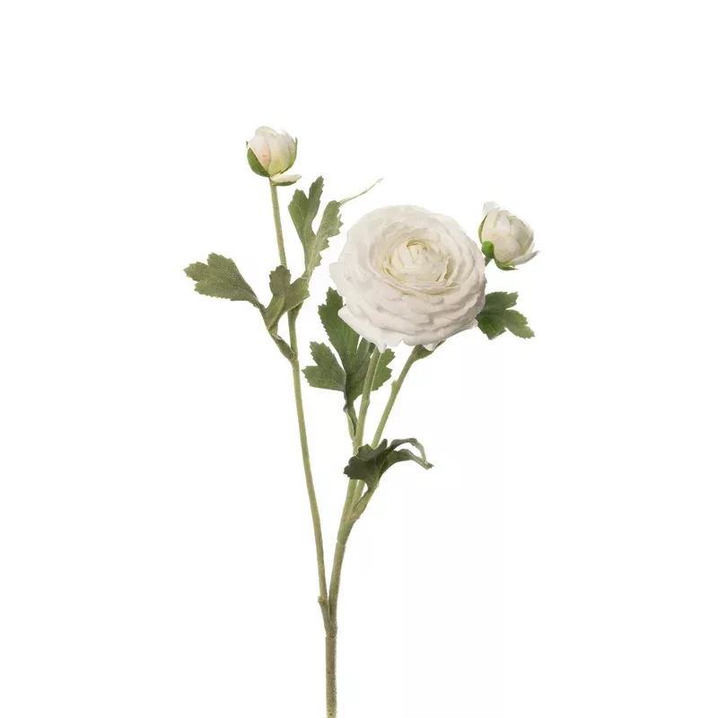 Ranunculus Stem White Real Touch 19 Inch