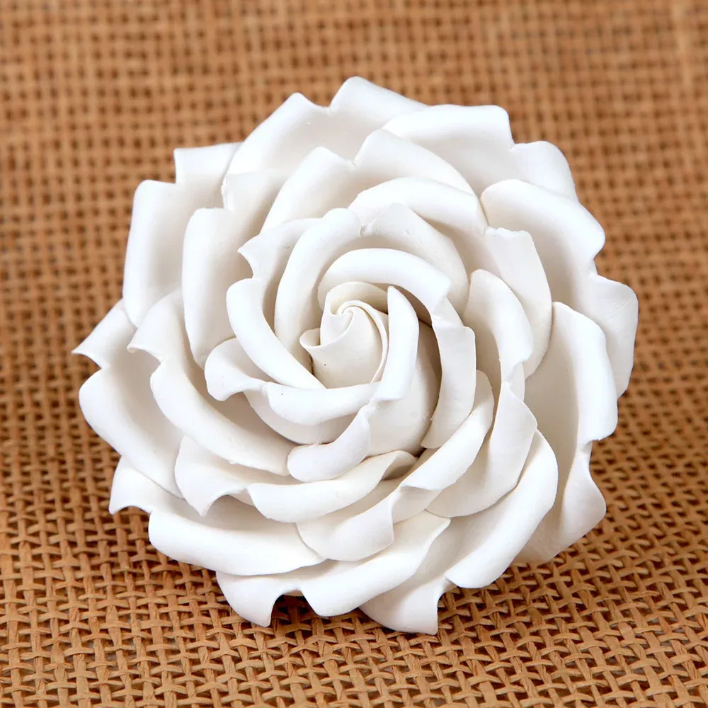 rebecca-rose-white Rebecca Rose - White