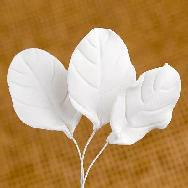 rose-leaf-white Rose Leaf - White