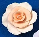 rr-rose-xl-peach-non-wired RR Rose- XL - Peach (non wired)