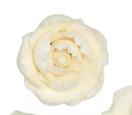 ruffled-edge-rose-small Ruffled Edge Rose - Small