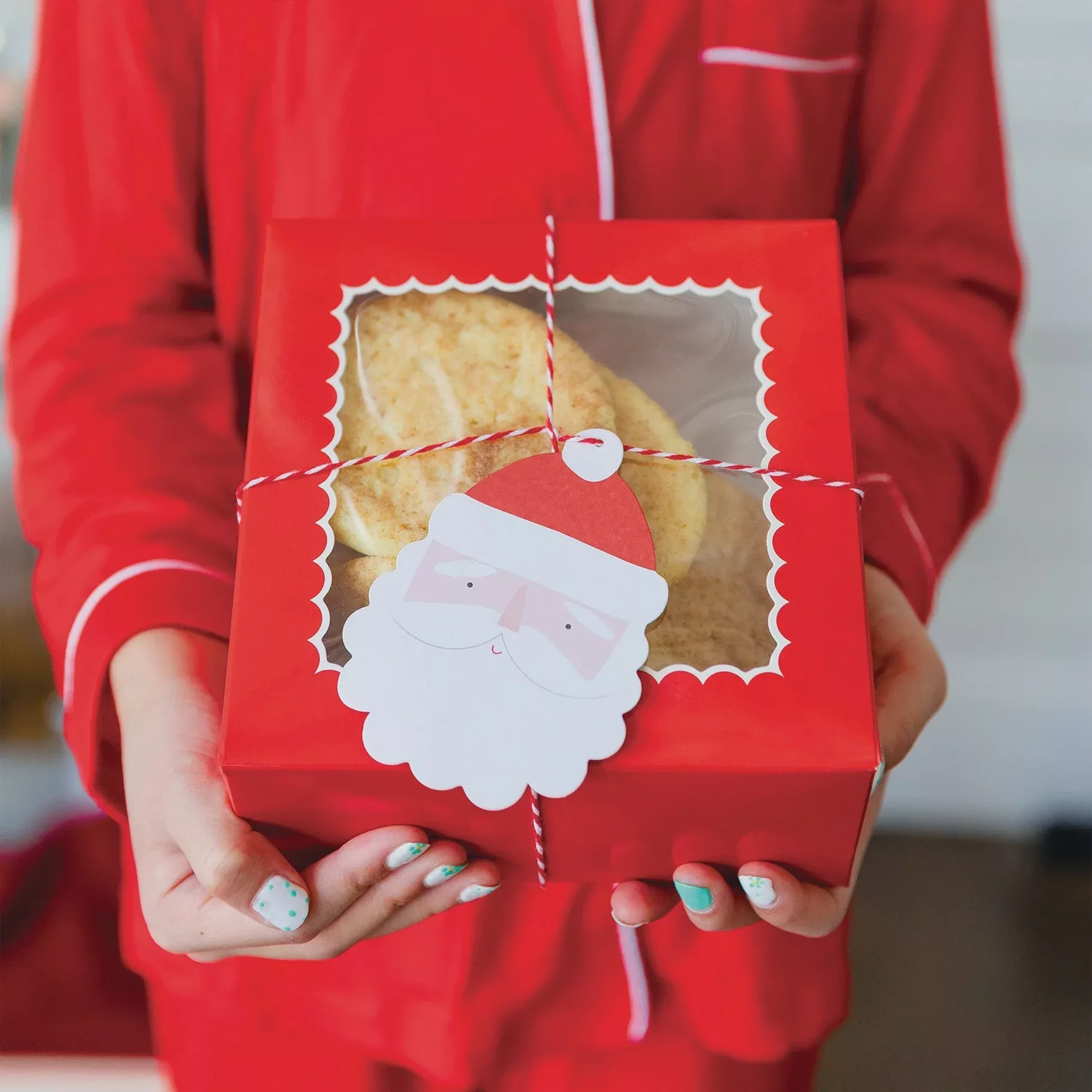 santa-christmas-cookie-treat-box Santa Christmas Cookie/Treat Box