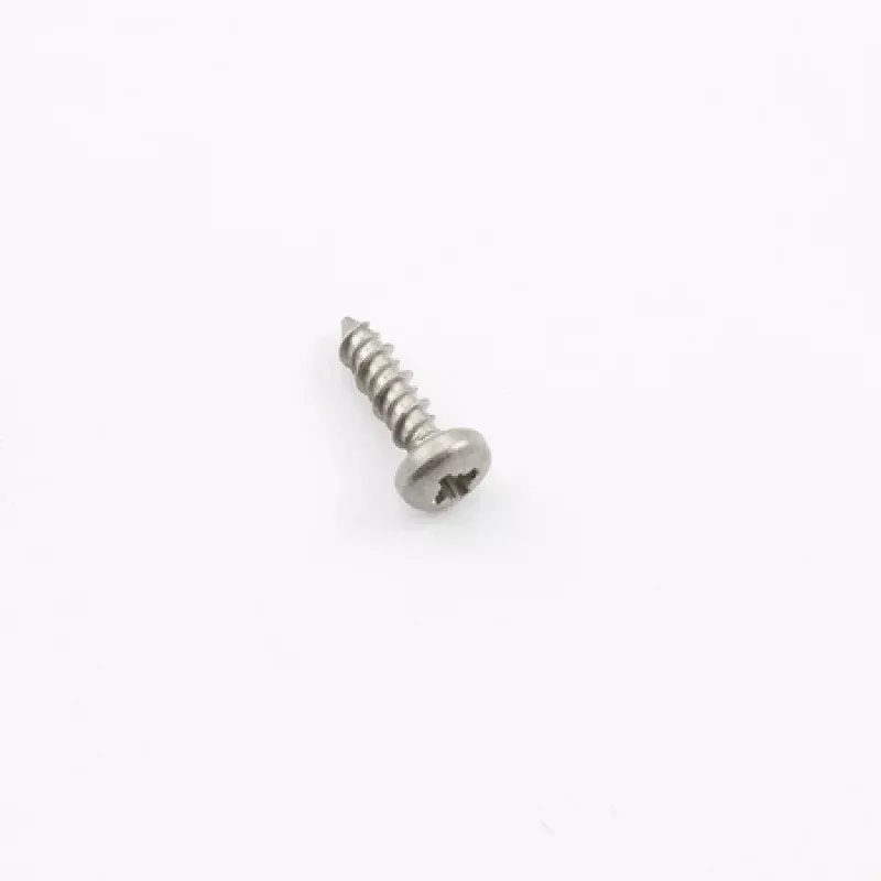 Screw, TCB Torx 10 3X10 SS