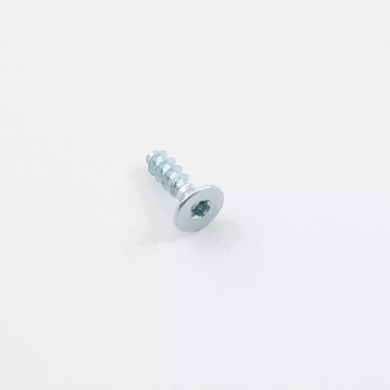 Screw, TSP Torx 10 3.5X12 for Plastic, Zn-B