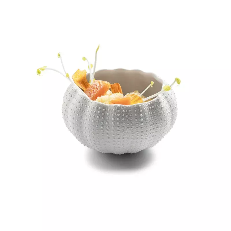 Sea Urchin Dish – White 12cm
