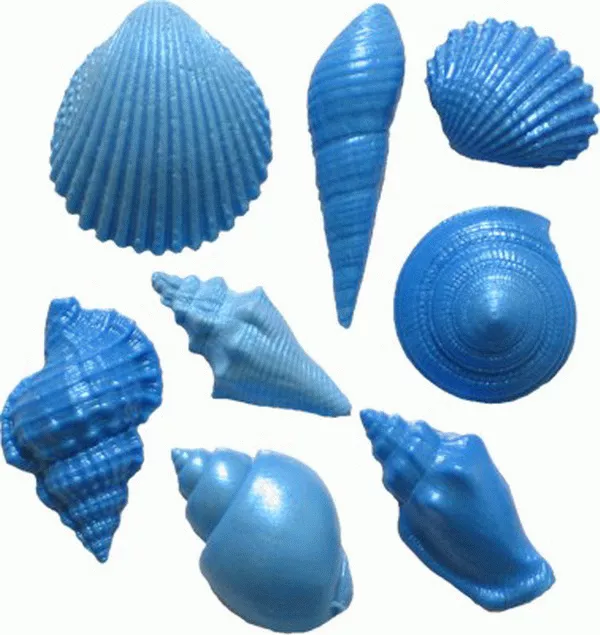 Shell Set 5 by First Impressions Molds(S187)
