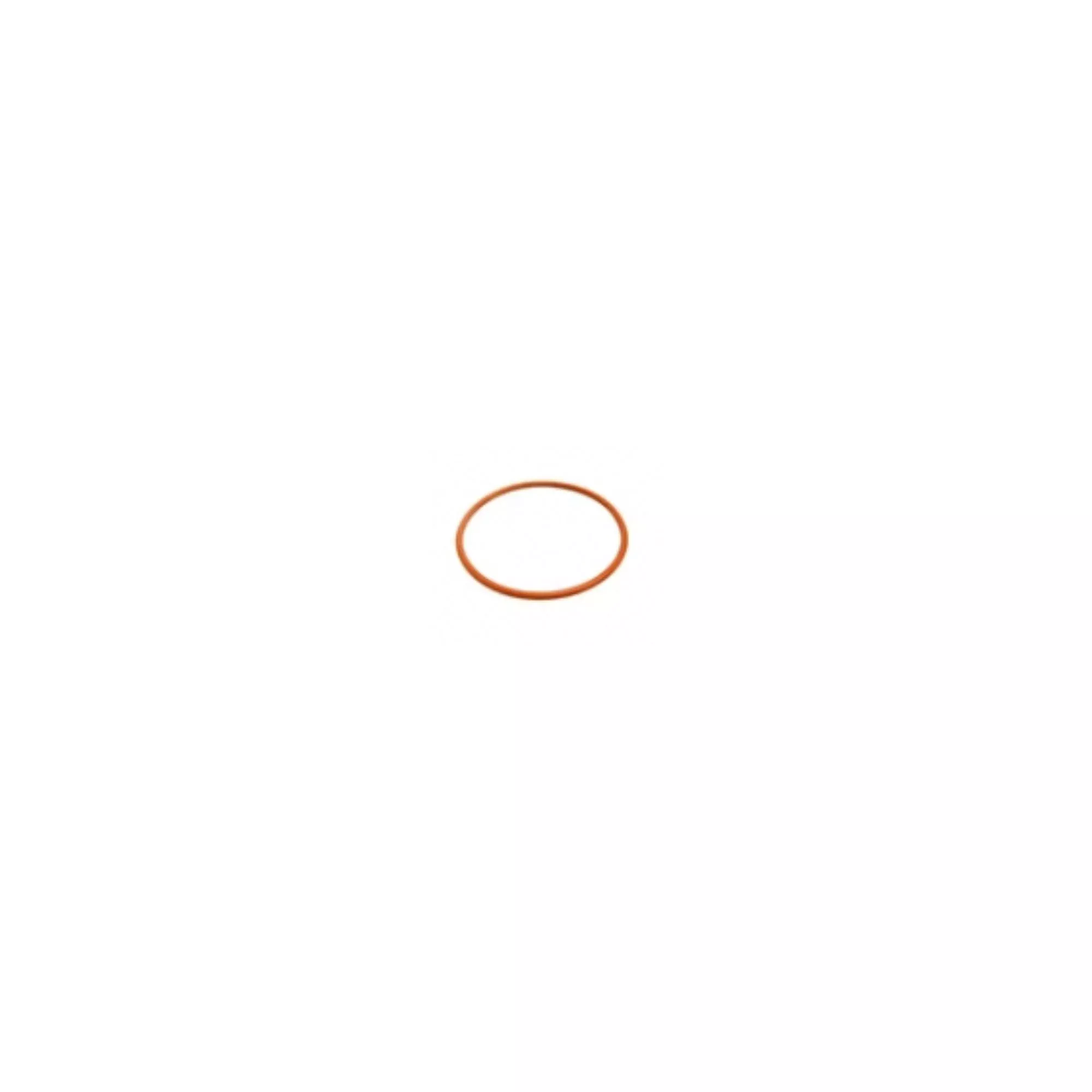Silicone Gasket OR 02162 (i...54)