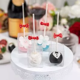 Single Cake Pop Clear Box 25 pieces