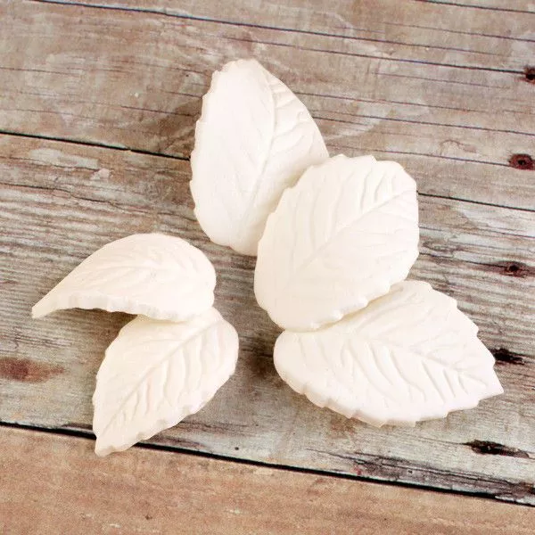 Single Rose Leaves - Ivory