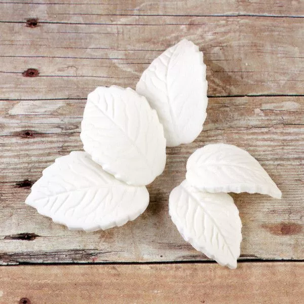 Single Rose Leaves - White