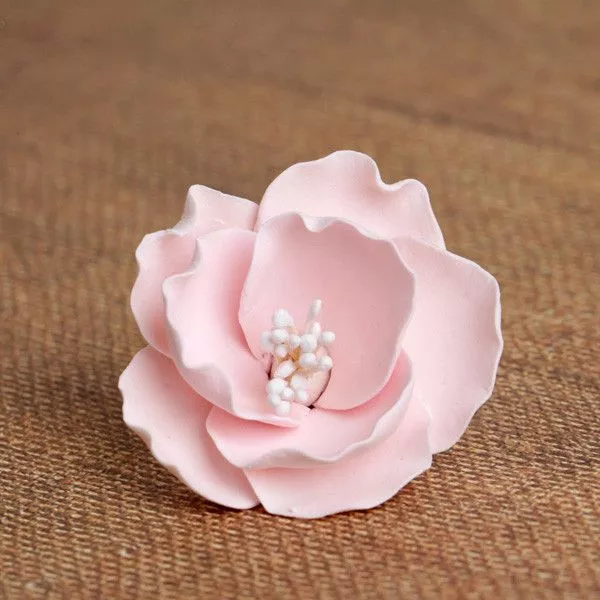 Small Briar Roses - Pink