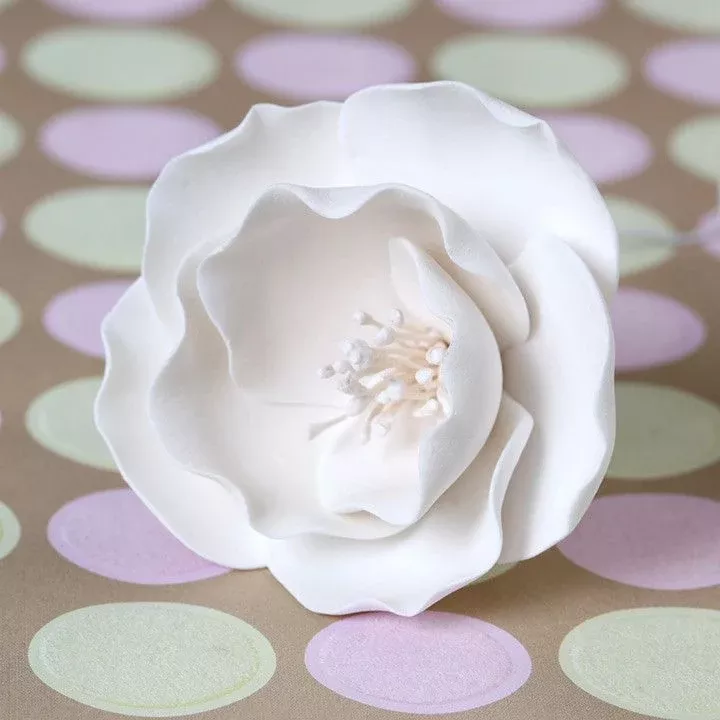 small-briar-roses-white Small Briar Roses - White