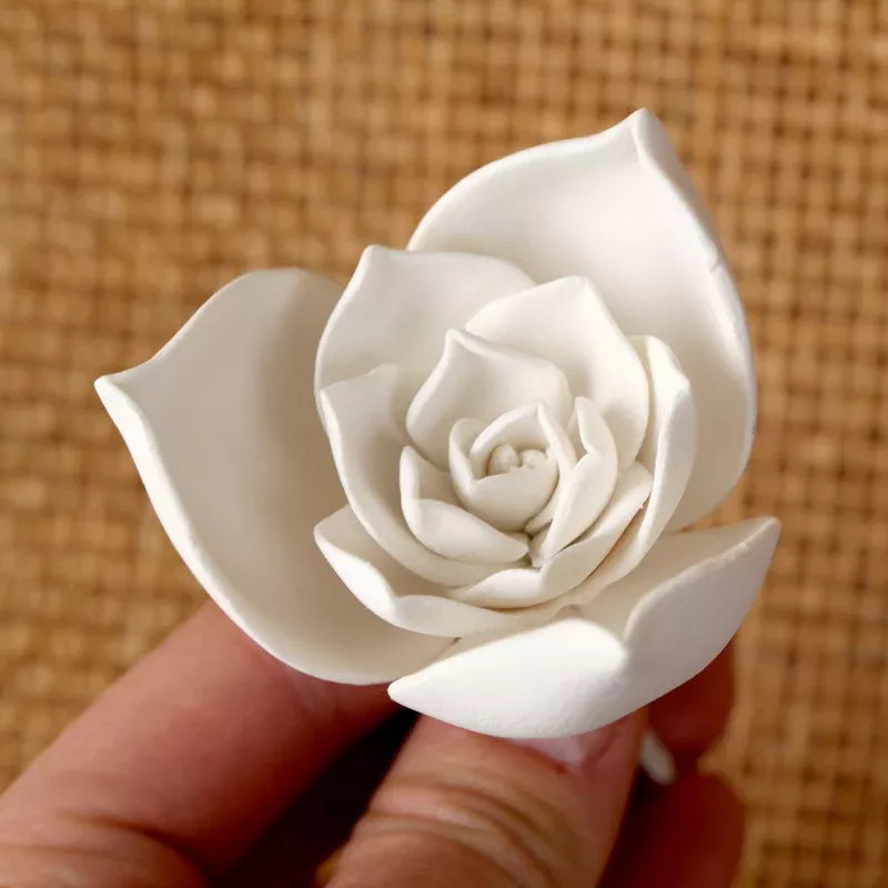 small-succulent-pointy-white Small Succulent (Pointy) - White